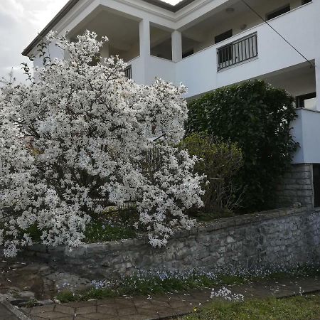 Stella Marina Daire Umag Dış mekan fotoğraf
