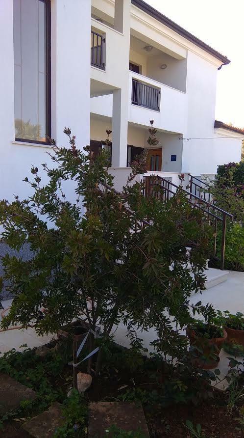 Stella Marina Daire Umag Dış mekan fotoğraf