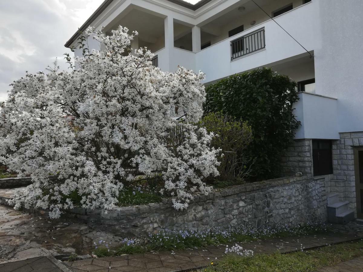 Stella Marina Daire Umag Dış mekan fotoğraf